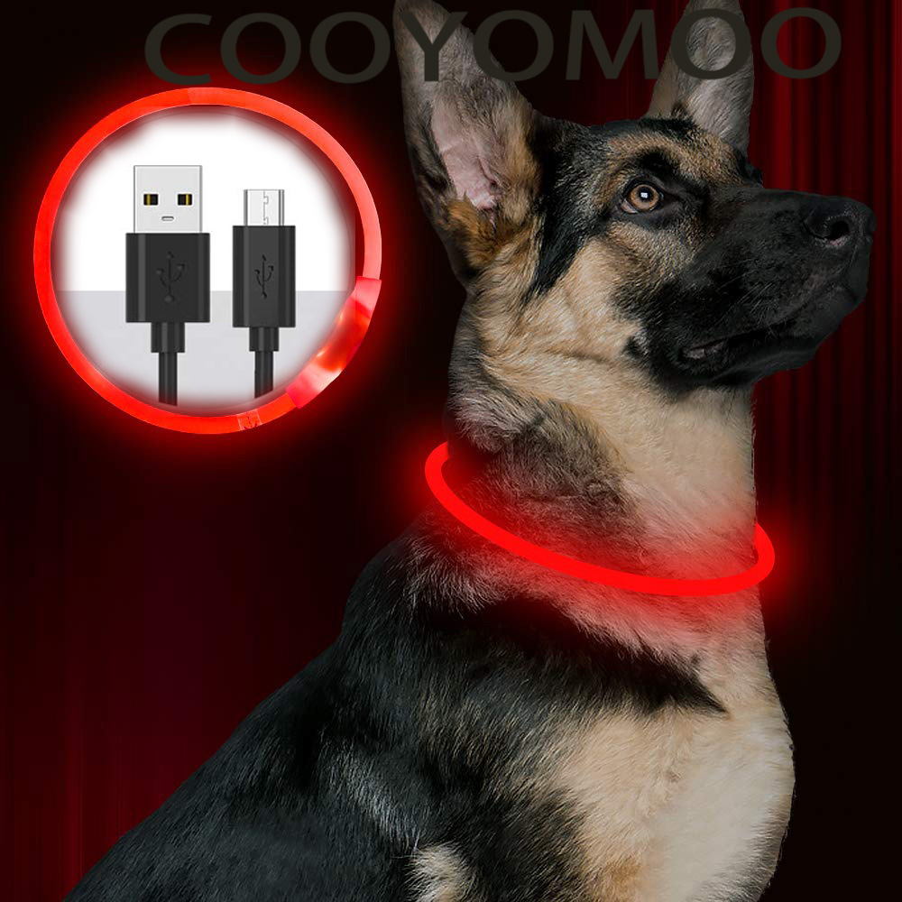 Collare per cani a LED in sili - Tech Dog Accessories recensione e prezzo