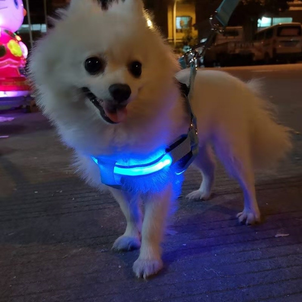 Pettorina per cani traspirante - Tech Dog Accessories recensione e prezzo