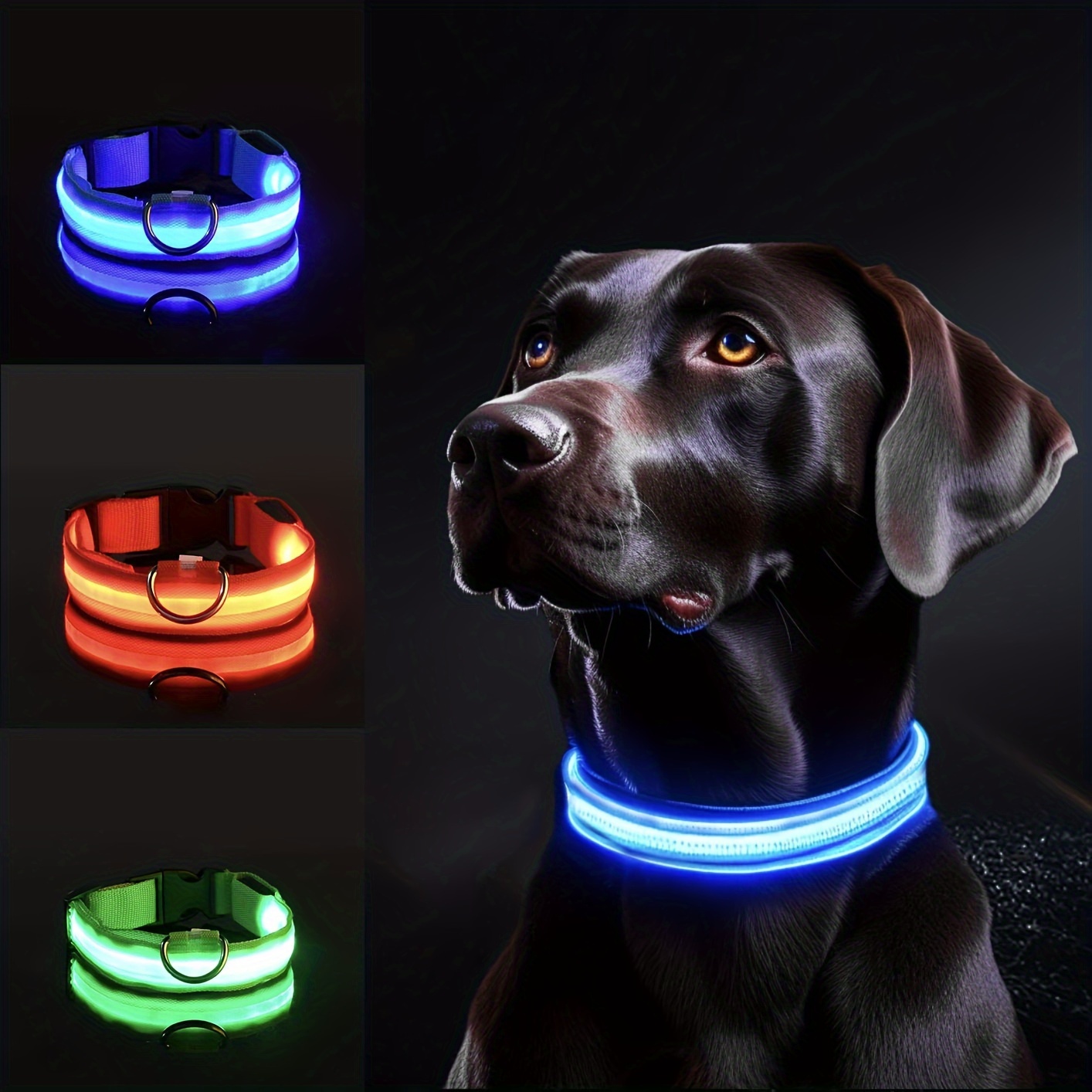 Collare per cani riflettente a - Tech Dog Accessories recensione e prezzo