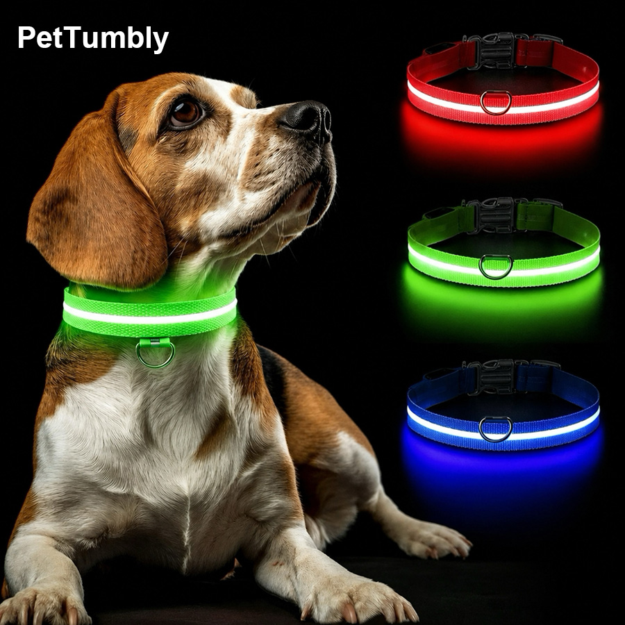 Collare Luminoso per Cani a 3  - Tech Dog Accessories recensione e prezzo