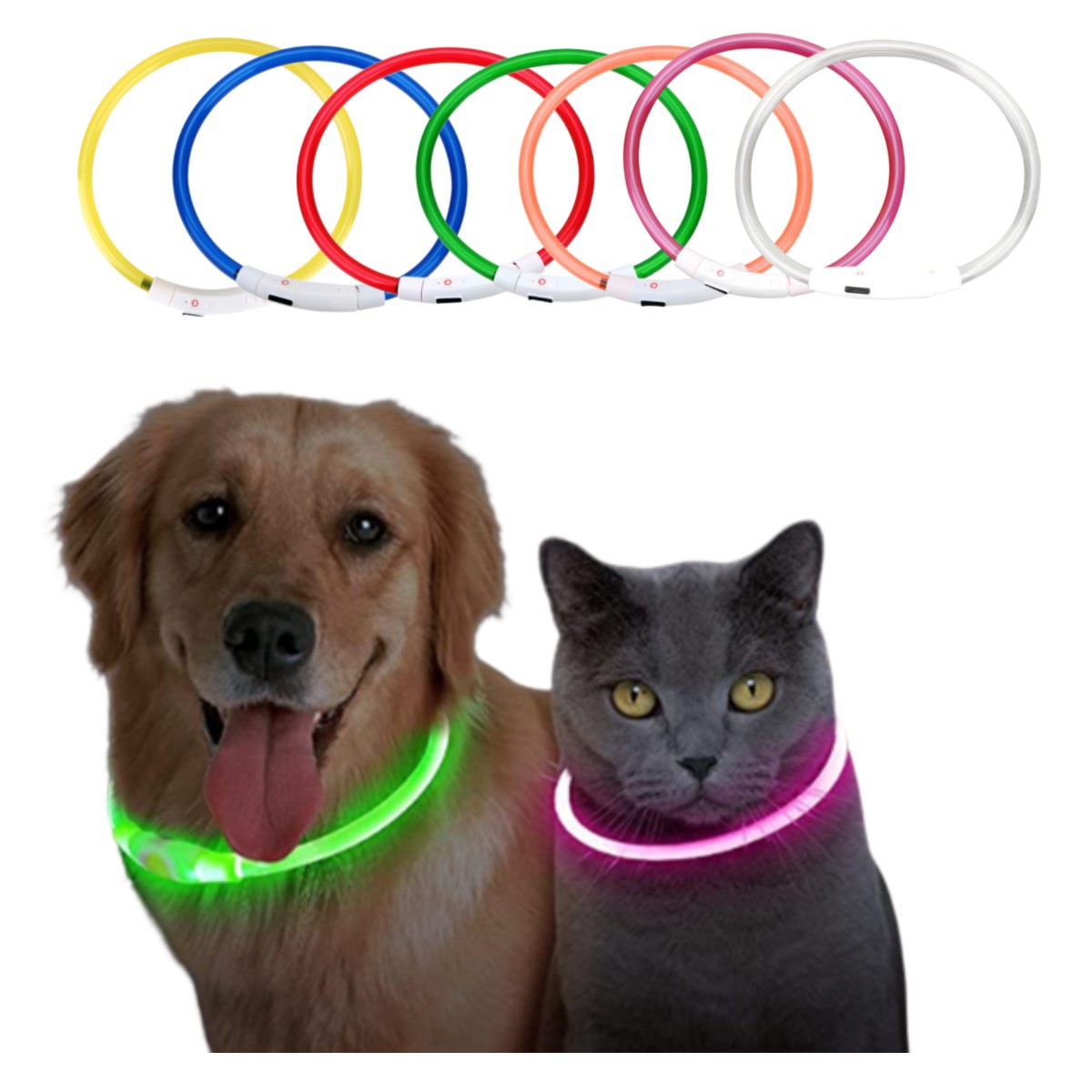 Collare per cani con luce a le - Tech Dog Accessories recensione e prezzo
