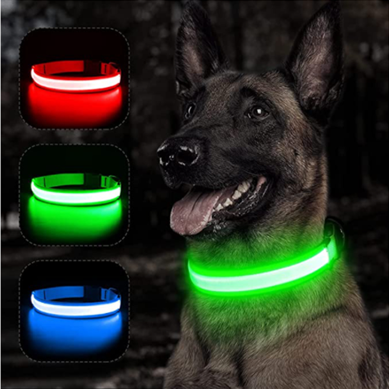 Collare Luminoso Ricaricabile  - Tech Dog Accessories recensione e prezzo