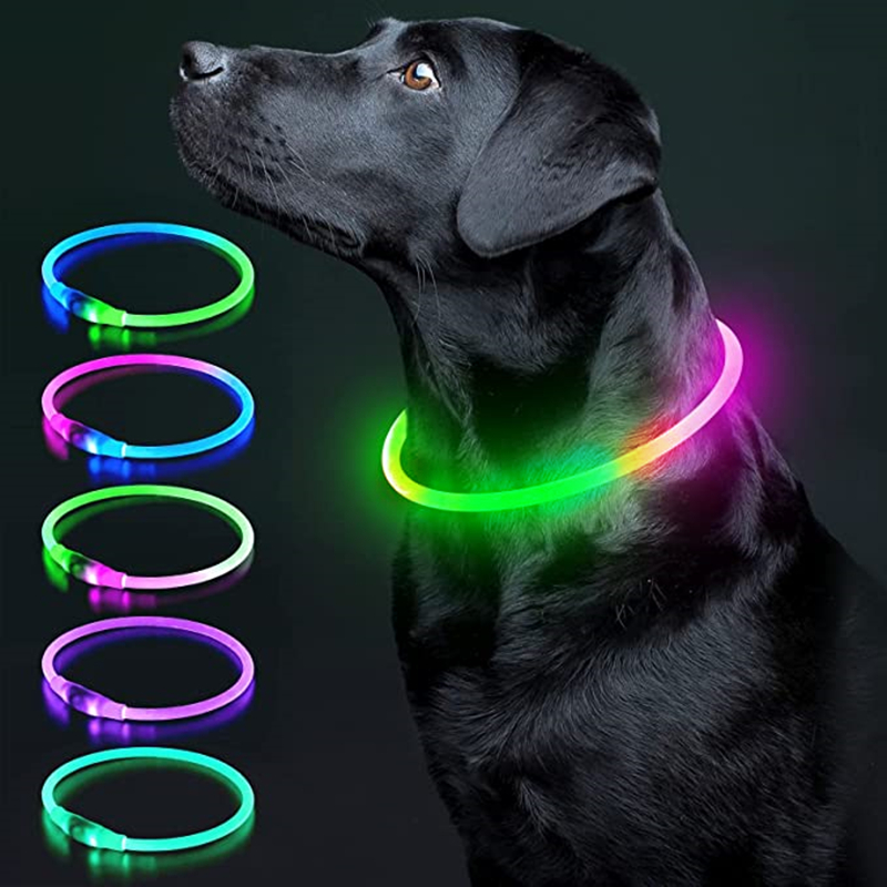 Collare per cani luminoso Coll - Tech Dog Accessories recensione e prezzo